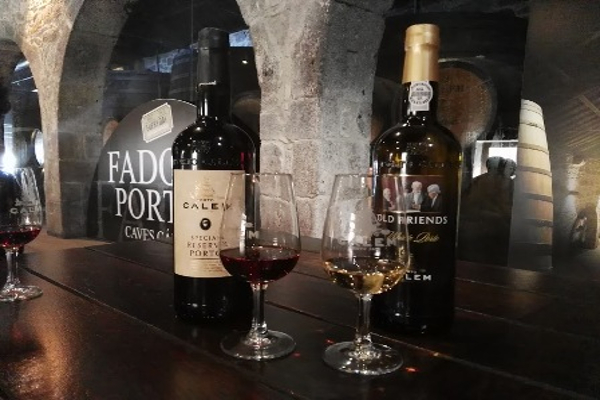 Degustación de vinos en bodega de Oporto. Despedidas de soltero y soltera.