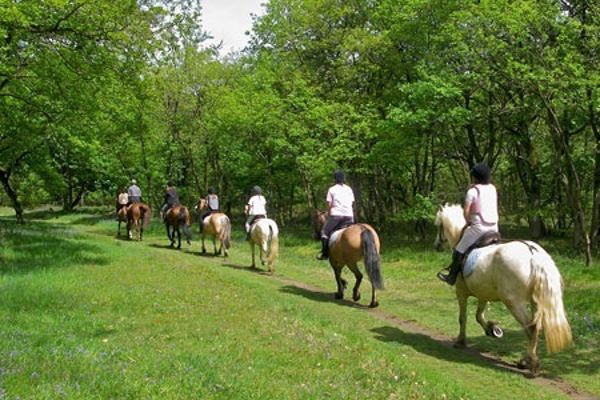 Rutas a caballo en Arriondas. Despedidas de soltero y soltera en Arriondas, Cangas de Onís, Ribadesella, Asturias.